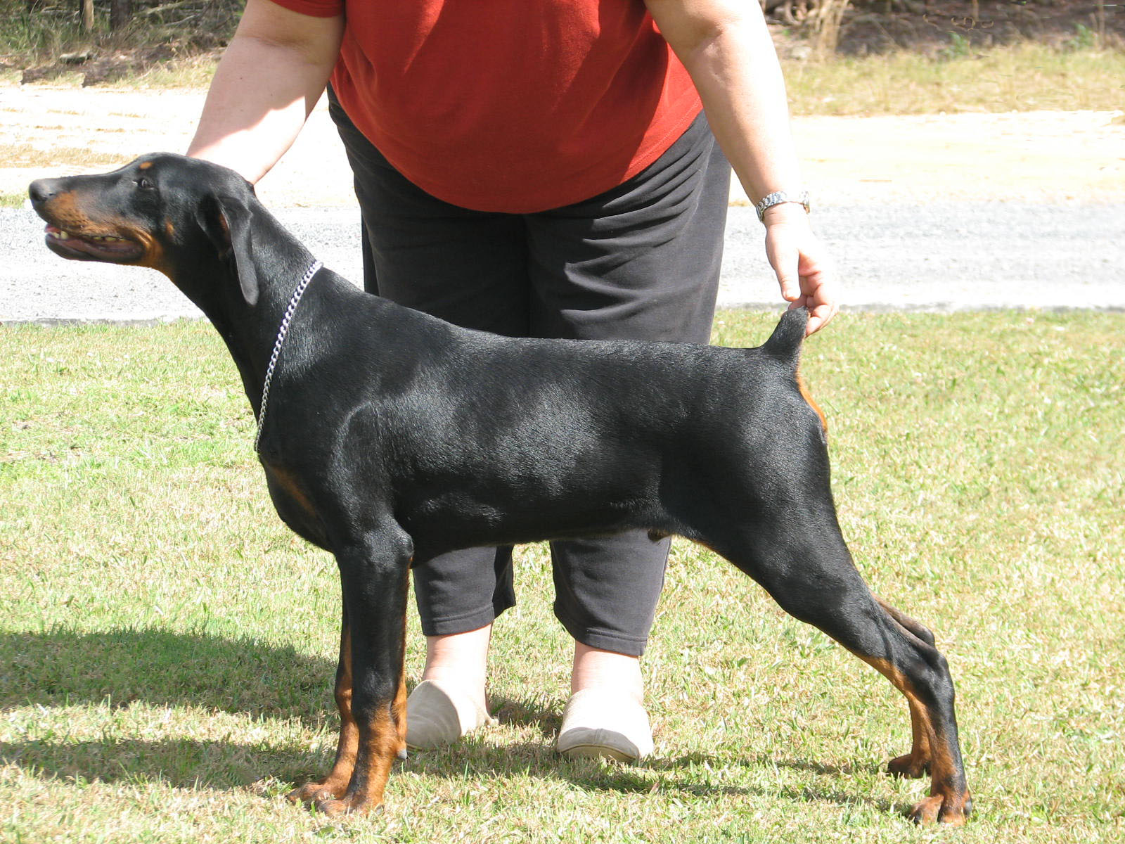 Macca weighs in at 28kg (5mo)